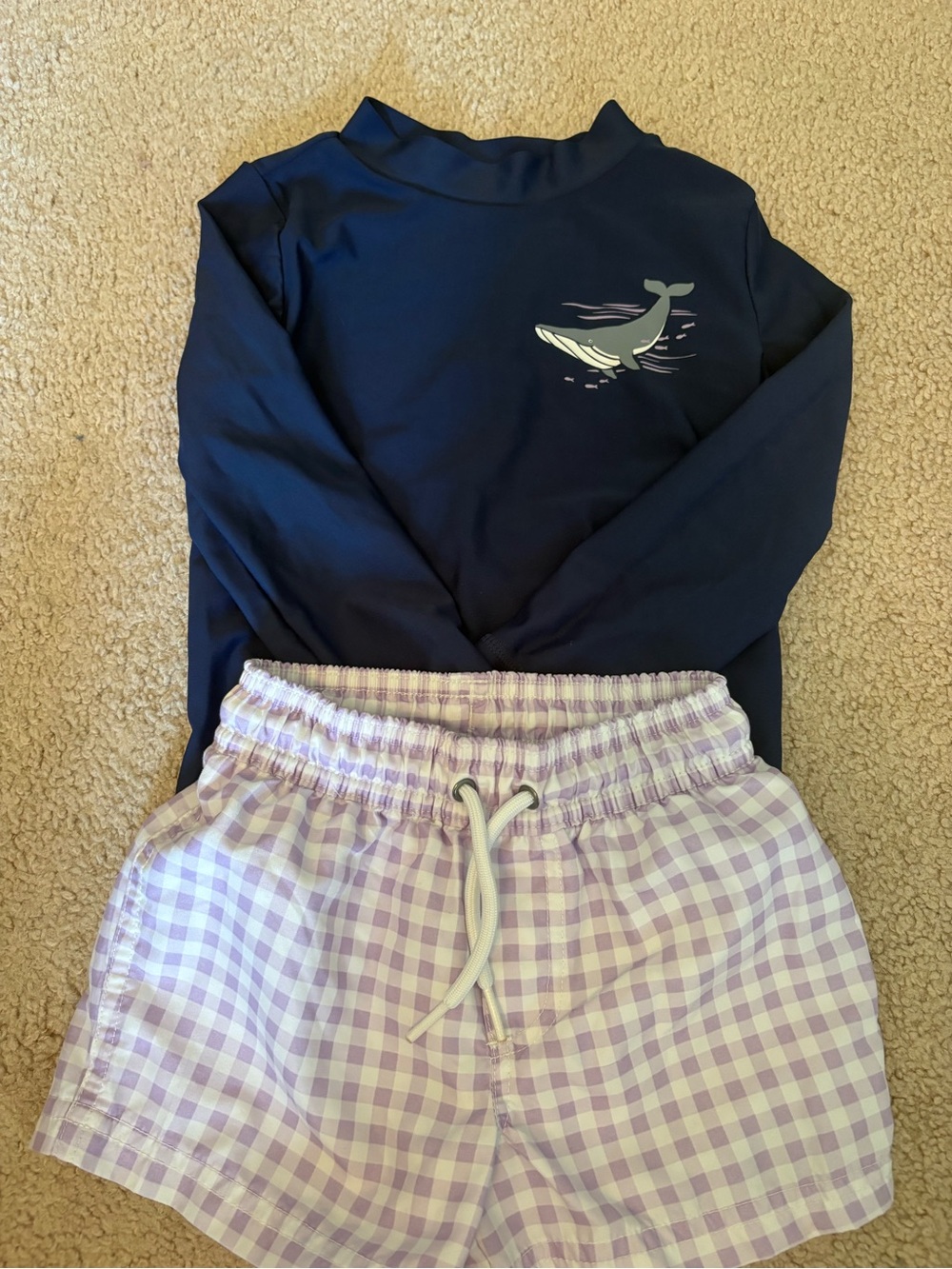 Carter's Navy Rash Guard Top with Lilac Gingham Swim Trunks